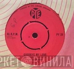  The Searchers  - Goodbye My Love