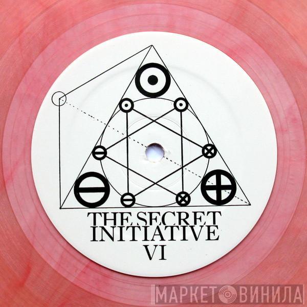The Secret Initiative - The Secret Initiative VI