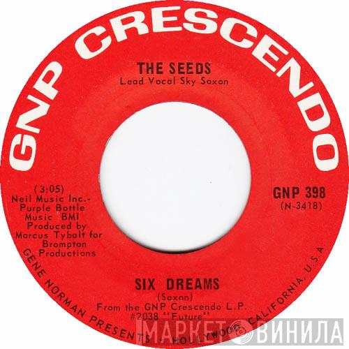 The Seeds - The Wind Blows Your Hair