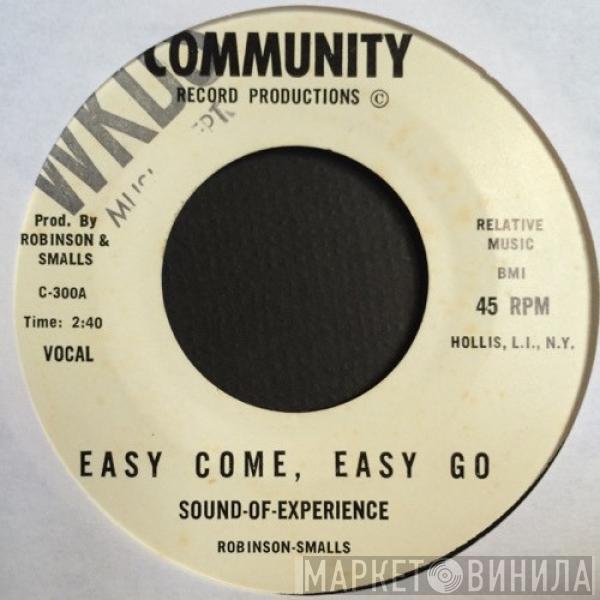 The Sound-Of-Experience - Easy Come, Easy Go