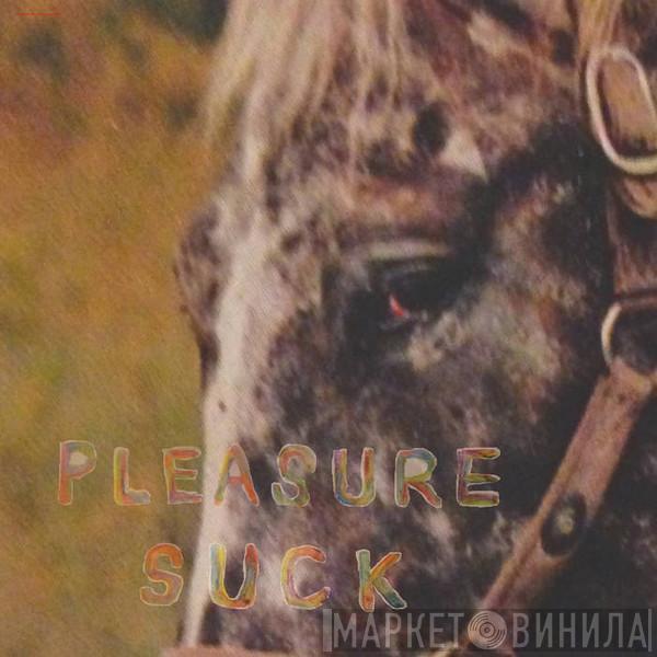  The Spirit Of The Beehive  - Pleasure Suck