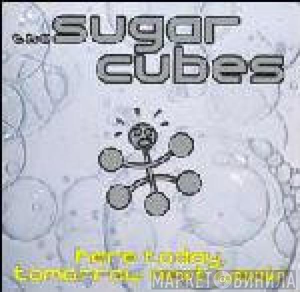 The Sugarcubes - Here Today, Tomorrow Next Week!