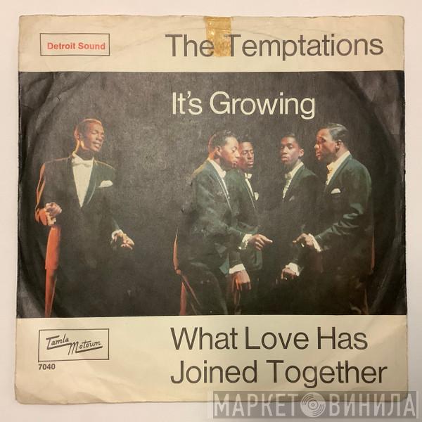  The Temptations  - It's Growing