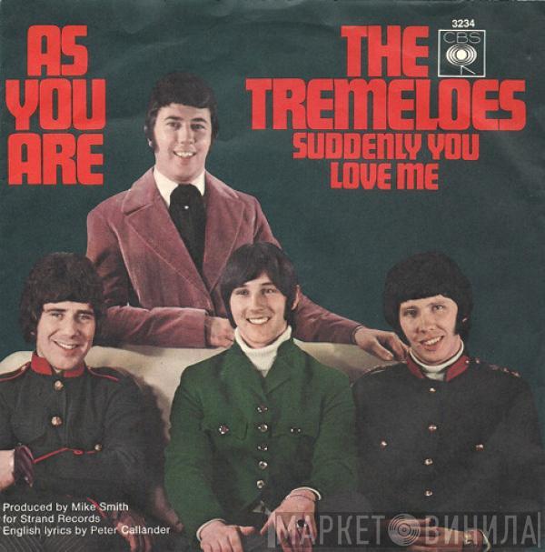 The Tremeloes - As You Are