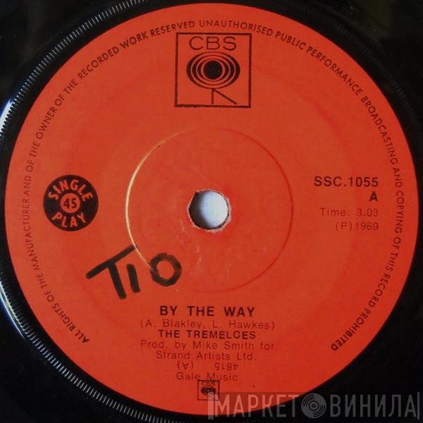  The Tremeloes  - By The Way