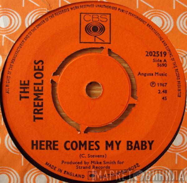 The Tremeloes - Here Comes My Baby