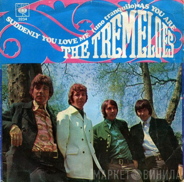 The Tremeloes - Suddenly You Love Me = Uno Tranquilo / As You Are