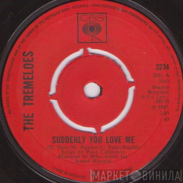 The Tremeloes - Suddenly You Love Me / As You Are