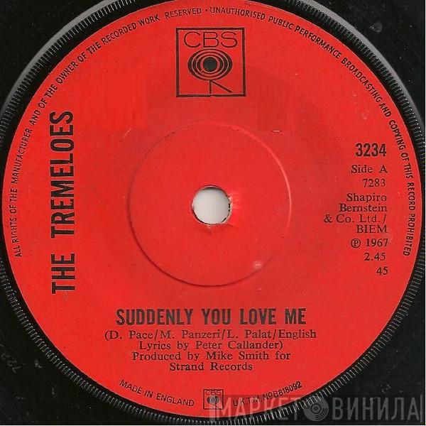 The Tremeloes - Suddenly You Love Me