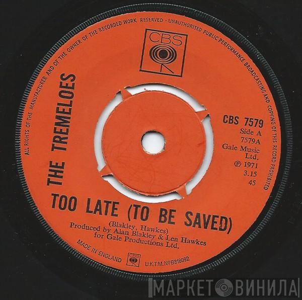 The Tremeloes - Too Late (To Be Saved)