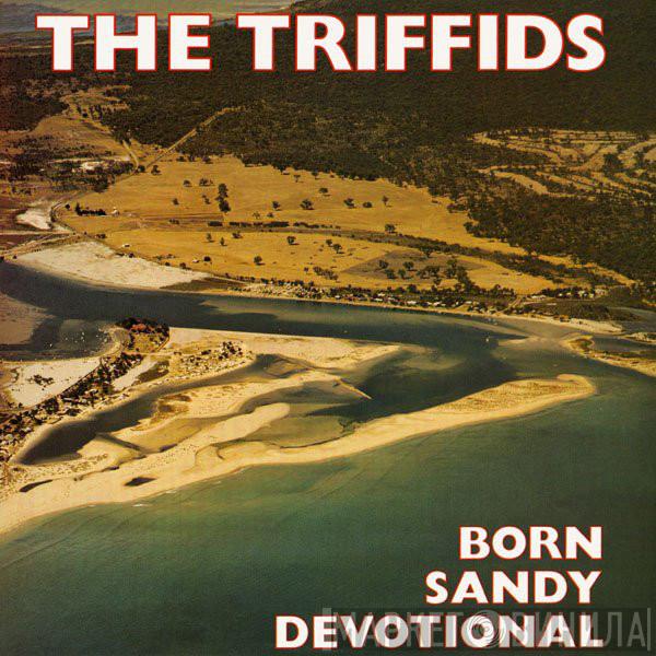  The Triffids  - Born Sandy Devotional