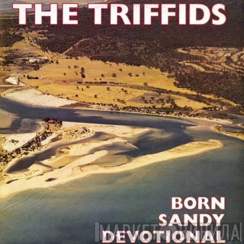  The Triffids  - Born Sandy Devotional