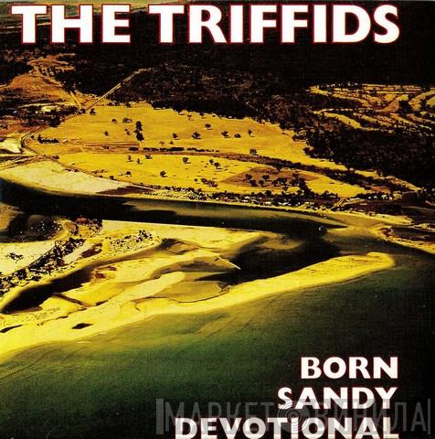  The Triffids  - Born Sandy Devotional