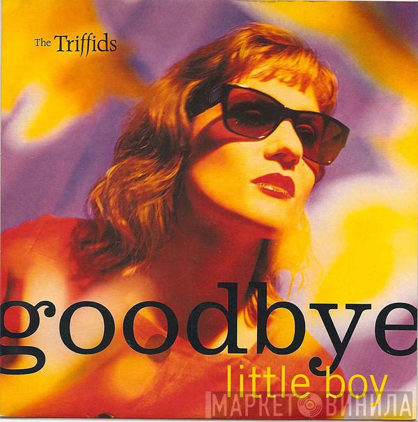 The Triffids - Goodbye Little Boy