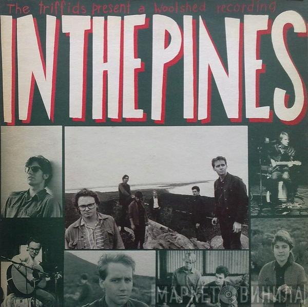 The Triffids - In The Pines