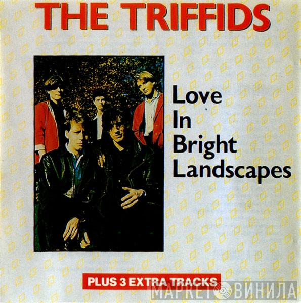The Triffids - Love In Bright Landscapes
