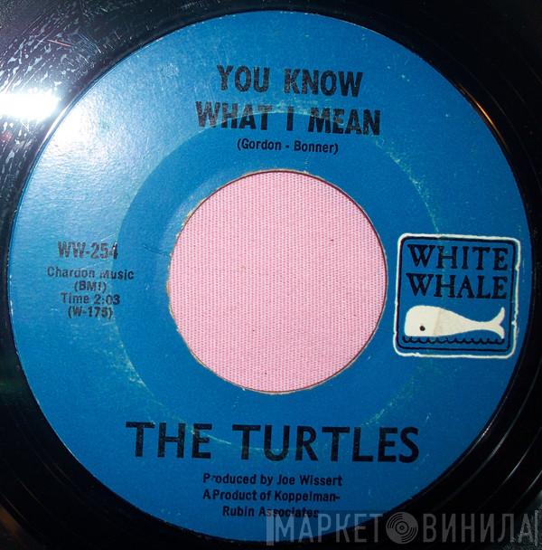 The Turtles - You Know What I Mean / Rugs Of Woods & Flowers