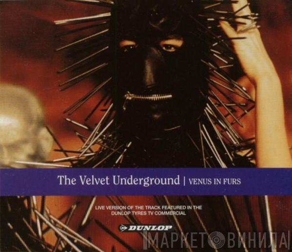  The Velvet Underground  - Venus In Furs