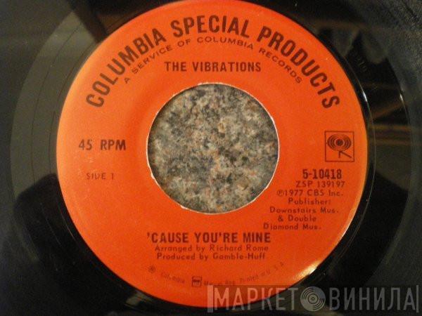 The Vibrations - 'Cause  You're Mine / I Took An Overdose