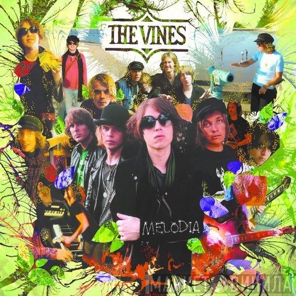  The Vines  - Melodia