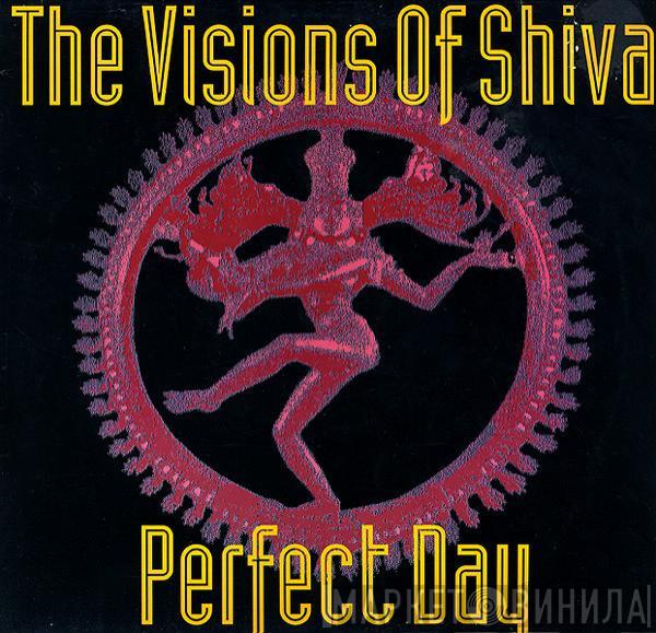 The Visions Of Shiva - Perfect Day