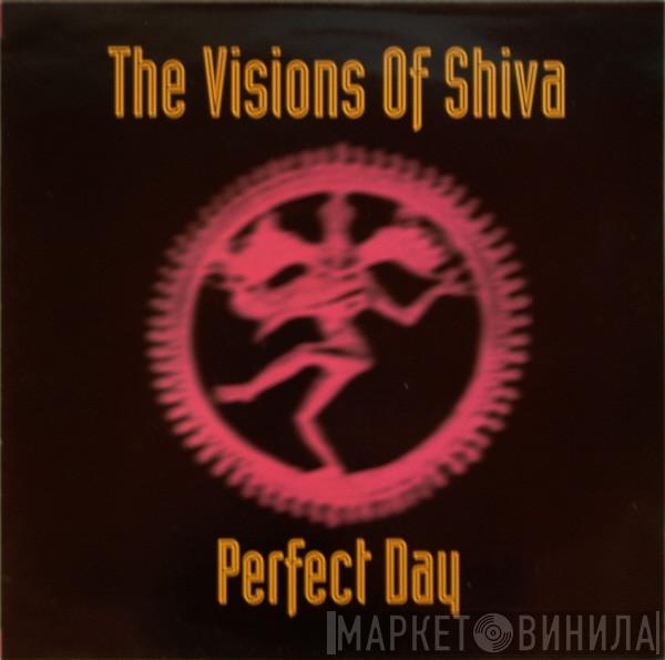 The Visions Of Shiva - Perfect Day