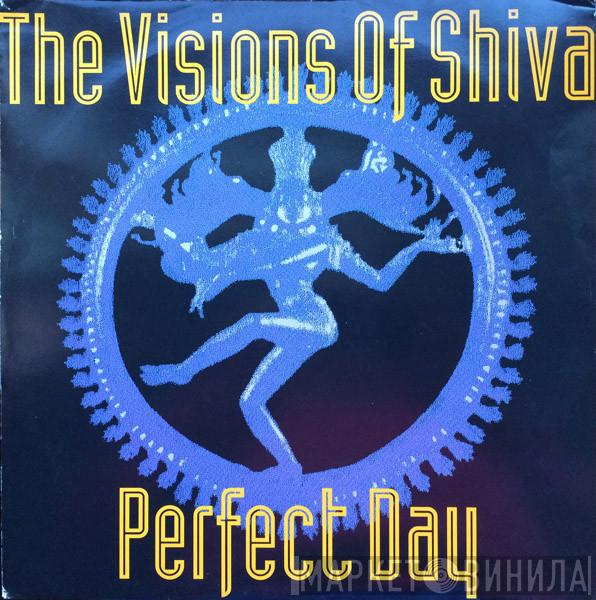 The Visions Of Shiva - Perfect Day