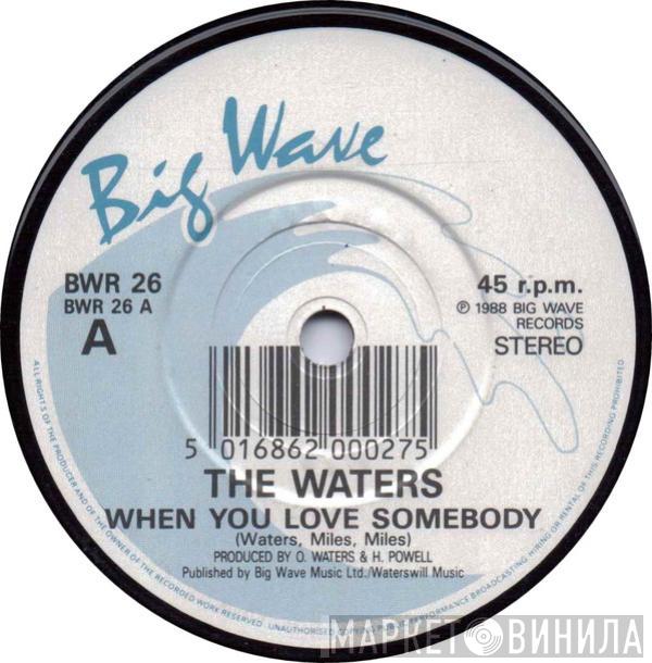 The Waters - When You Love Somebody