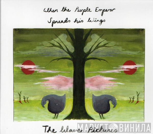 The Wave Pictures - When The Purple Emperor Spreads His Wings
