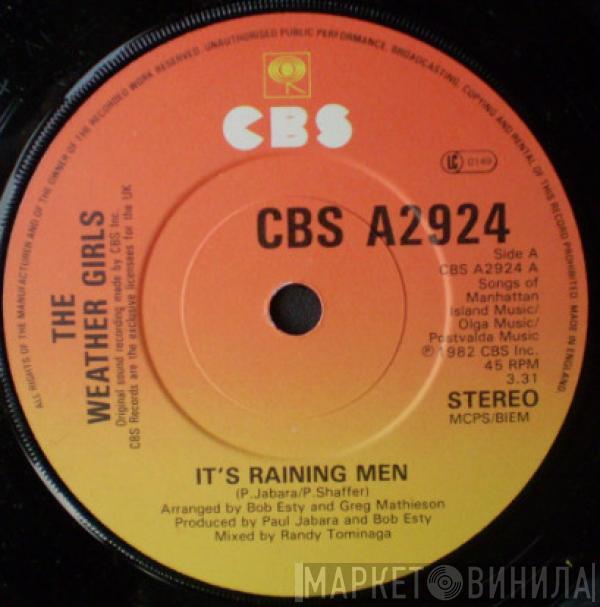  The Weather Girls  - It's Raining Men