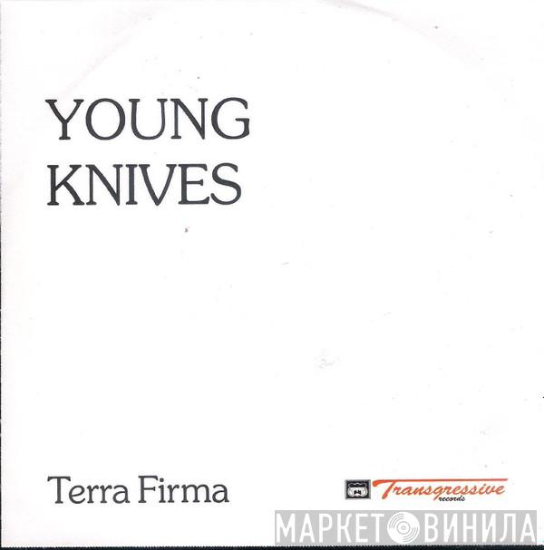 The Young Knives - Terra Firma