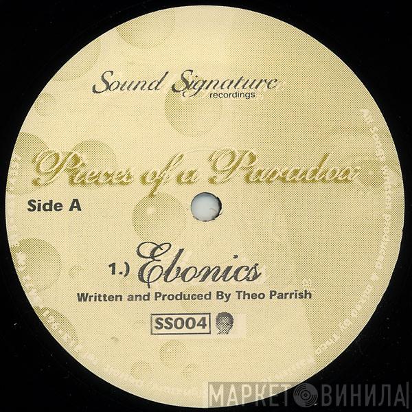 Theo Parrish - Pieces Of A Paradox