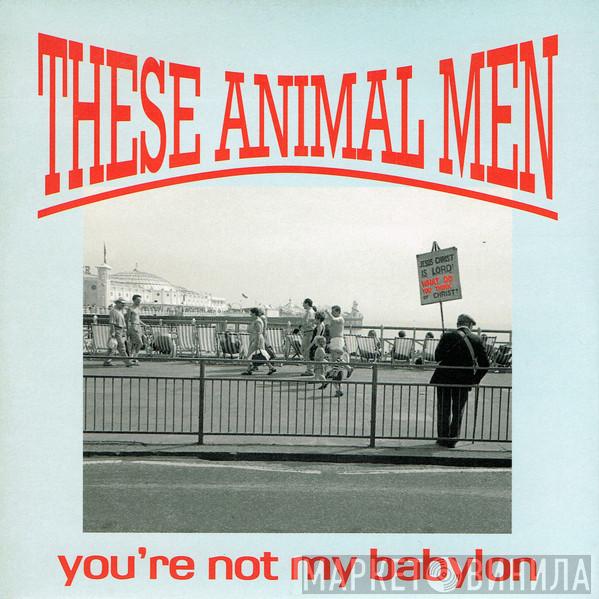 These Animal Men - You're Not My Babylon