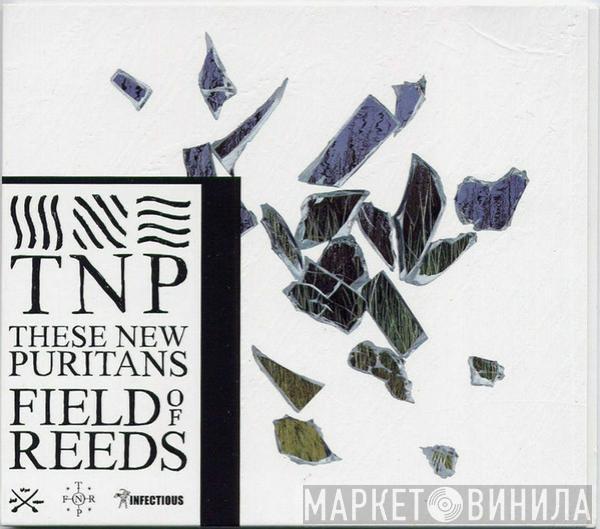  These New Puritans  - Field Of Reeds