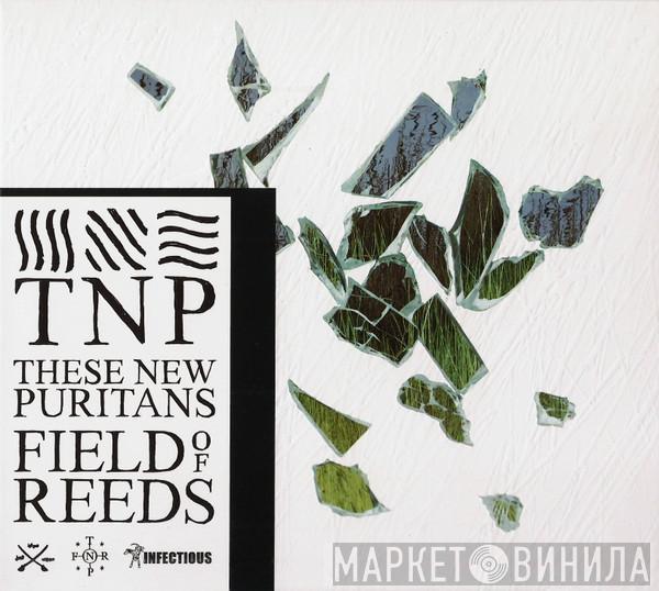  These New Puritans  - Field Of Reeds