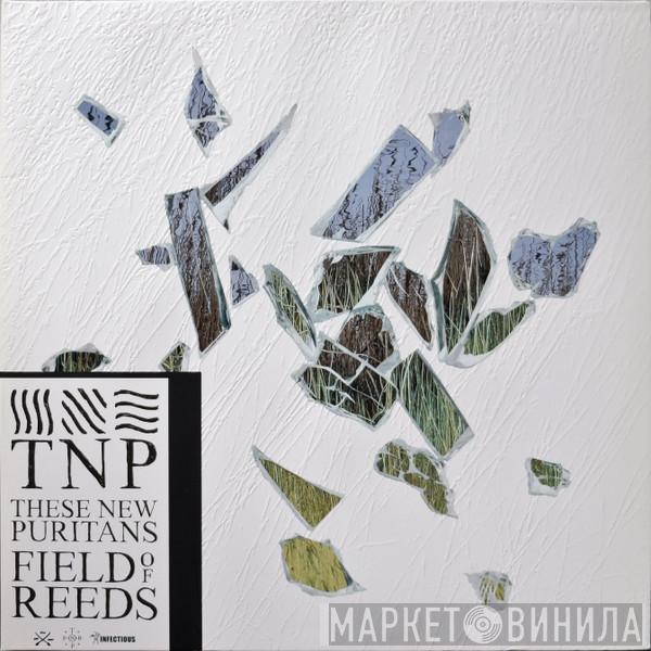 These New Puritans  - Field Of Reeds