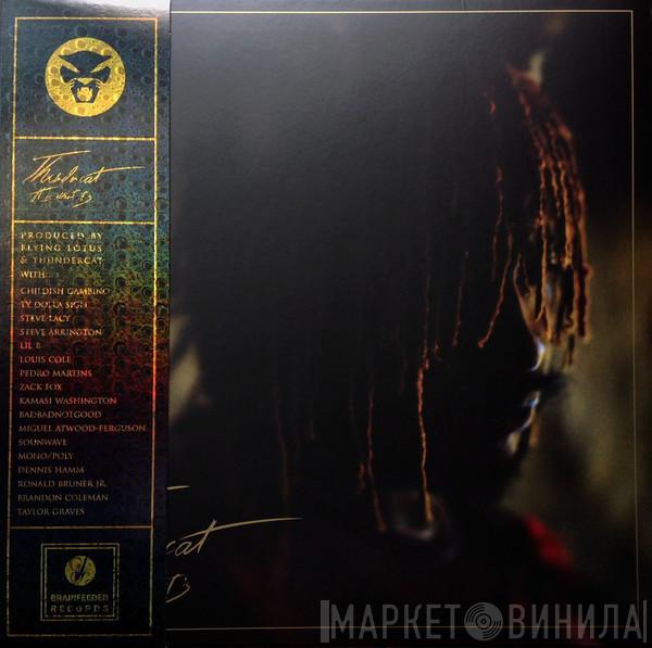 Thundercat - It Is What It Is