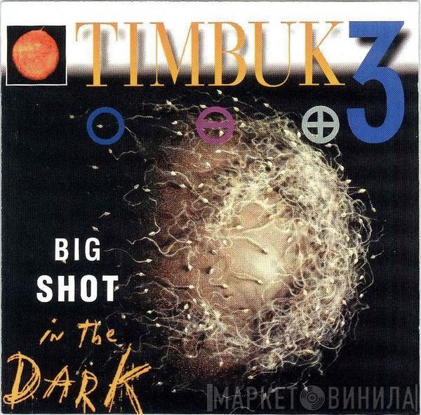  Timbuk 3  - Big Shot In The Dark