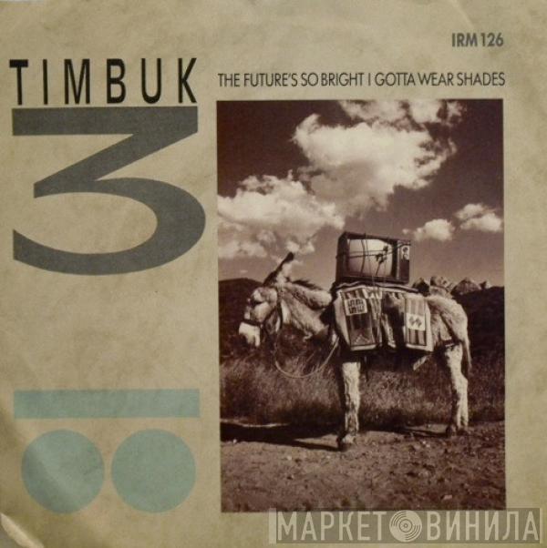 Timbuk 3 - The Future's So Bright I Gotta Wear Shades