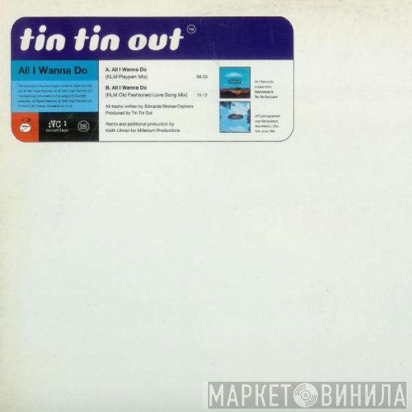 Tin Tin Out - All I Wanna Do