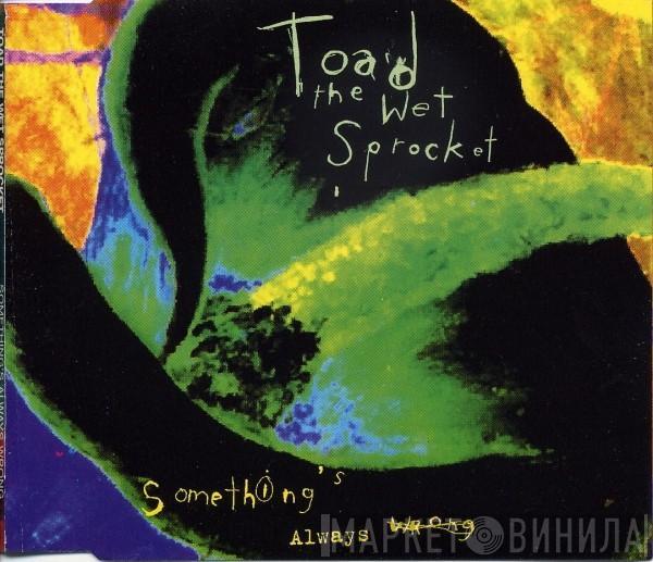 Toad The Wet Sprocket - Something's Always Wrong