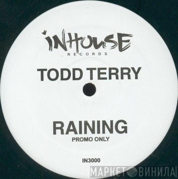 Todd Terry - Raining