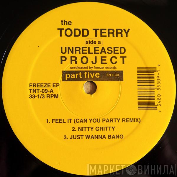 Todd Terry - The Todd Terry Unreleased Project Part 5