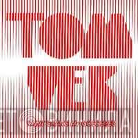 Tom Vek - I Aint Saying My Goodbyes