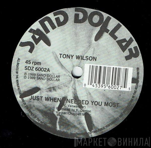 Tony Wilson , Sand Dollar Orchestra - Just When I Needed You Most / Stroll On! (The Beach)