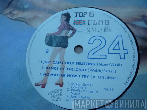  - Top 6 Mini Flag