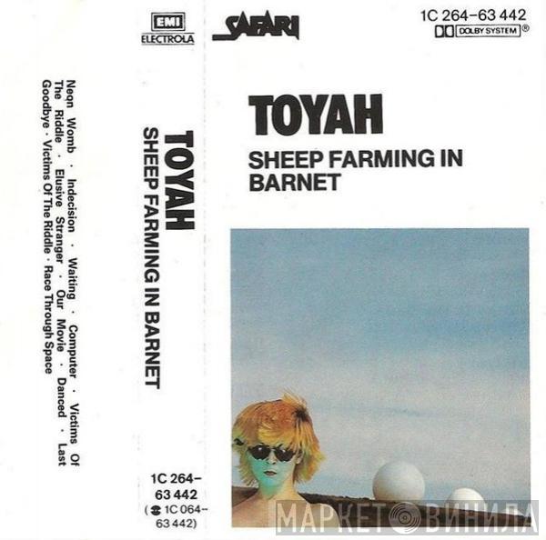  Toyah   - Sheep Farming In Barnet