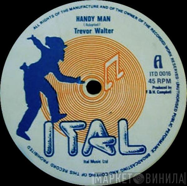 Trevor Walters - Handy Man