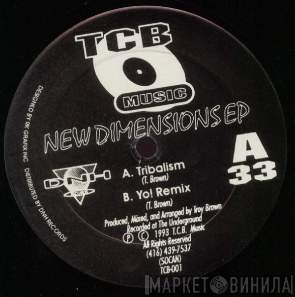 Troy Brown - New Dimensions EP