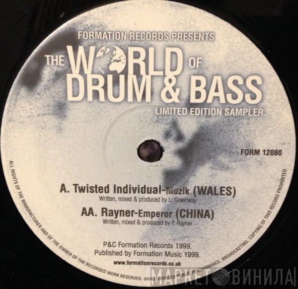 Twisted Individual, Rayner - The World Of Drum And Bass LP Sampler